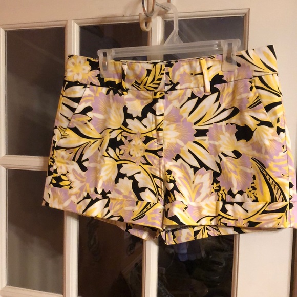 Shorts - Picture 1 of 3